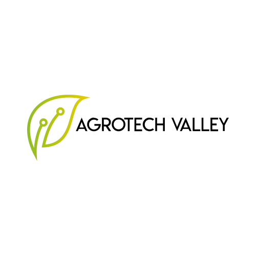 Partner 2