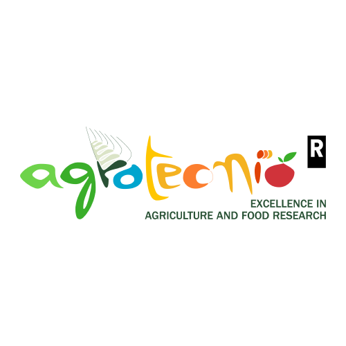 Partner 2